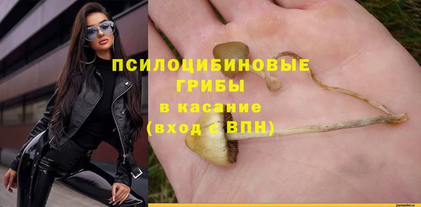 прущая мука Вязьма