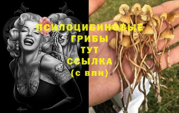 герыч Вязники