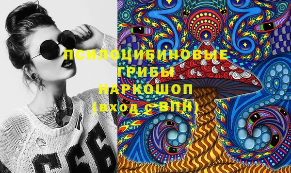 метадон Вяземский