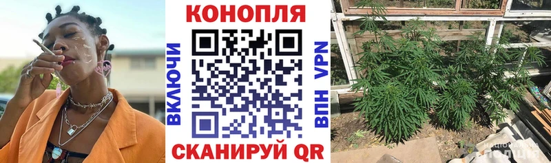 Бошки Шишки ГИДРОПОН Коломна